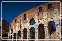 Forum Romanum (134)