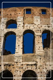 Forum Romanum (135)