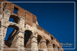 Roman Forum (136)