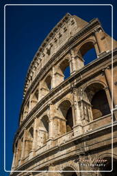 Roman Forum (140)