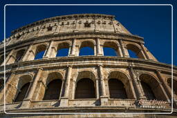 Forum Romanum (141)