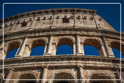 Forum Romanum (142)