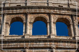 Foro Romano (144)