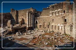 Foro Romano (145)