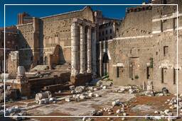Forum Romanum (146)