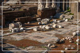 Foro Romano (147)