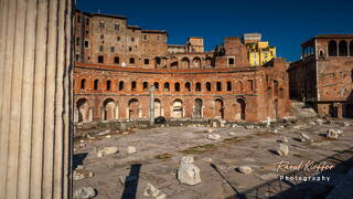 Roman Forum, Rome, Lazio, Italy