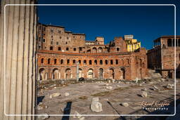 Foro Romano (148)