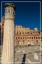 Forum Romanum (149)