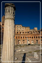 Forum Romanum (149)