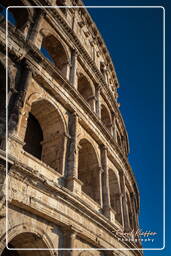 Foro Romano (153)