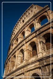 Forum Romanum (154)