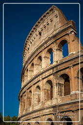 Forum Romanum (155)