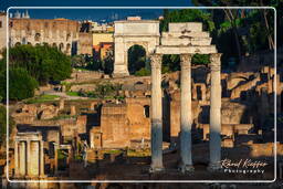 Roman Forum (159)