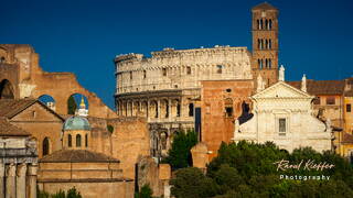 Roman Forum, Rome, Lazio, Italy