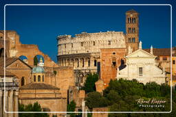 Foro Romano (160)