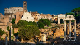 Roman Forum, Rome, Lazio, Italy