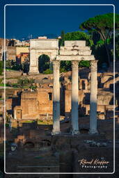 Foro Romano (164)