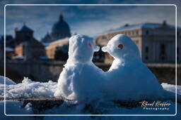 Nieve en Roma - Febrero de 2012 2012 (123)