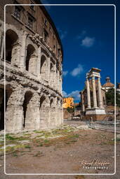 Teatro di Marcello (8)