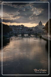 Tevere (11)