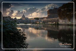 Tiber (31)