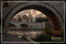 Tevere (32)