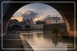 Tiber (37)