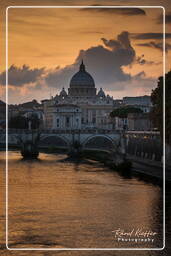 Tiber (60)