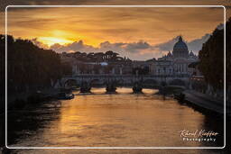 Tevere (69)