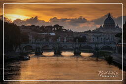 Tiber (71)