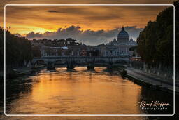 Tiber (88)