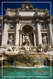 Trevi-Brunnen (3)