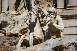 Fontana di Trevi (9)