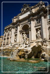 Trevi Fountain (11)