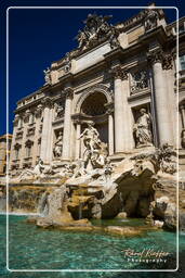 Fontaine de Trevi (11)