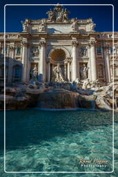 Trevi Fountain (25)