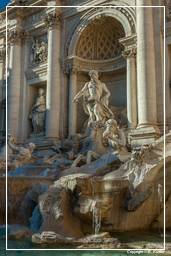 Trevi Fountain (35)