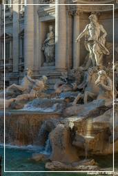 Fontana di Trevi (43)