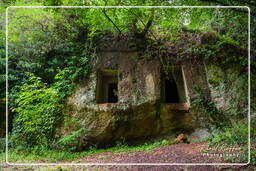 Necropolis di San Guiliano (3)