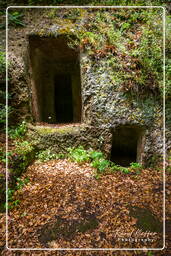 Necropolis di San Guiliano (9)