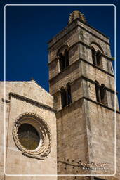 Tarquinia (138)