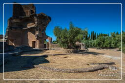 Villa Adriana (148)