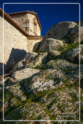 Tolfa (75)