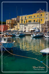 Ventotene (476)