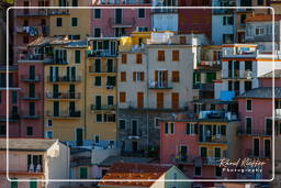 Manarola (226)