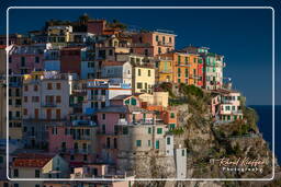 Manarola (256)