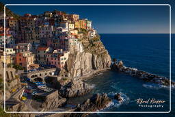 Manarola (278)