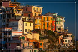 Manarola (313)