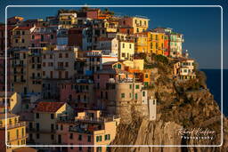 Manarola (317)